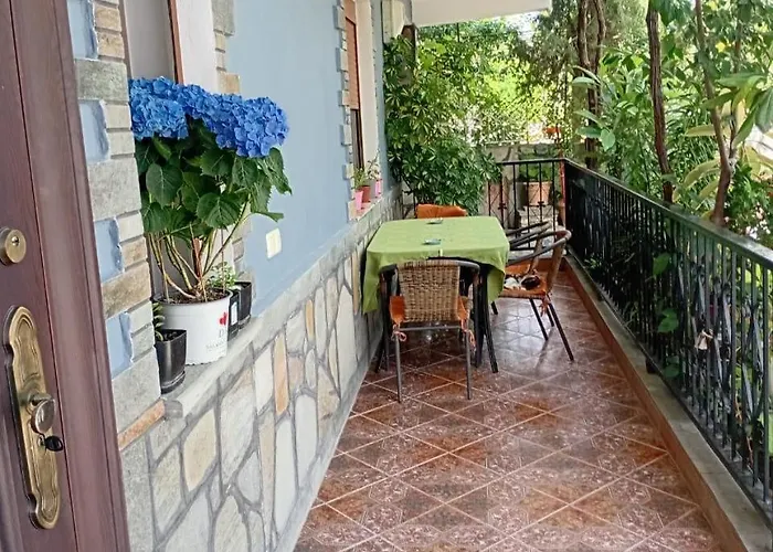 Stone House Apartament Wlora